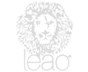 fornecedor leao deposito barao